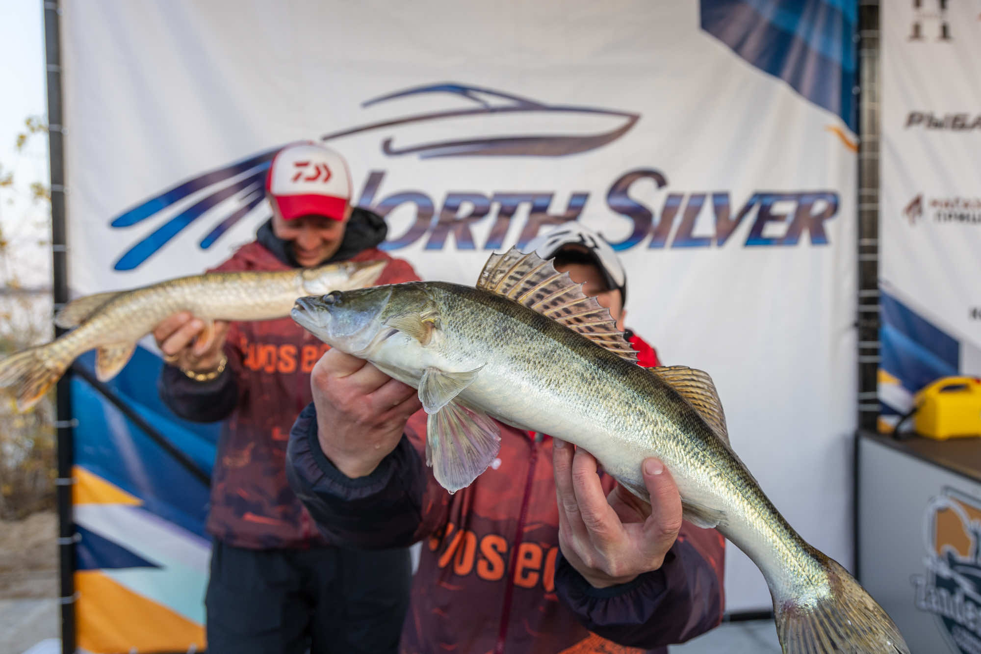 Осенний этап 2025 - Процедура взвешивания III тура - 2