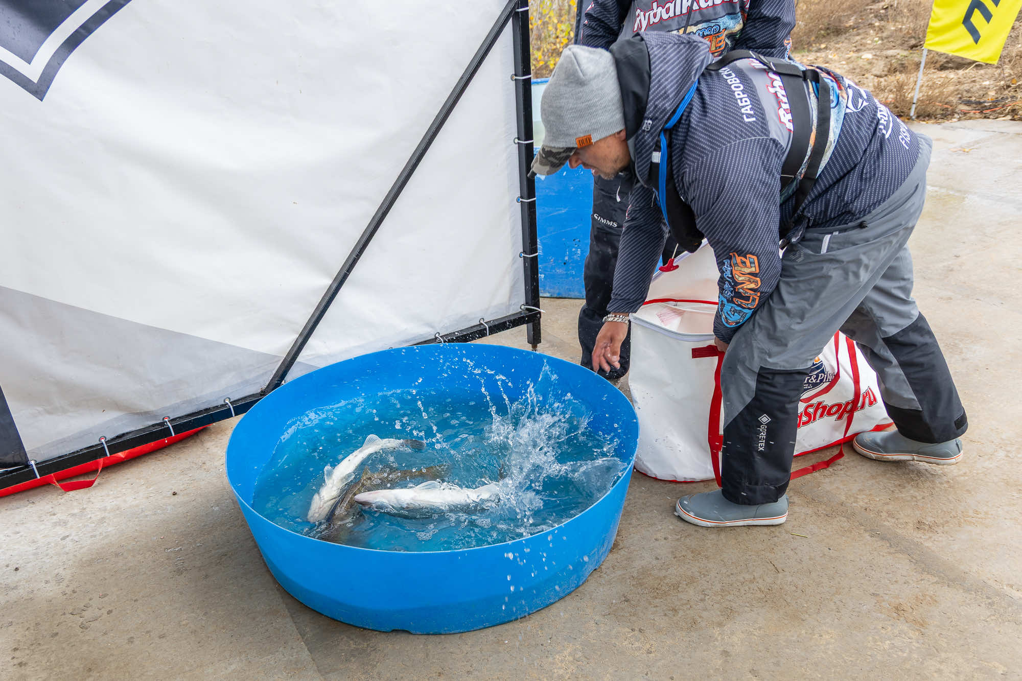 Осенний этап 2025 - Процедура взвешивания III тура - 2