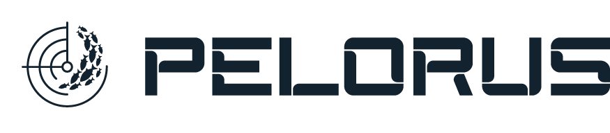 PELORUS - электронный ротатор