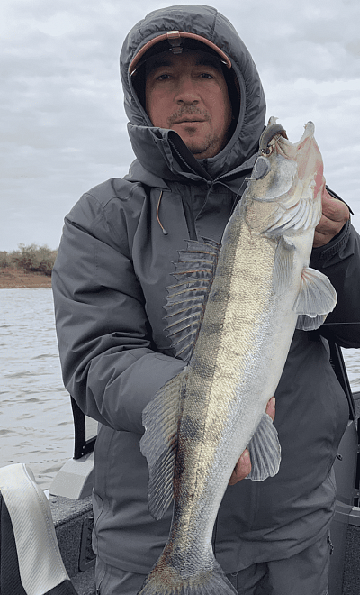 Головизин Евгений