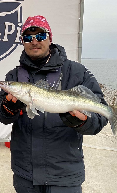 Шершнев Максим