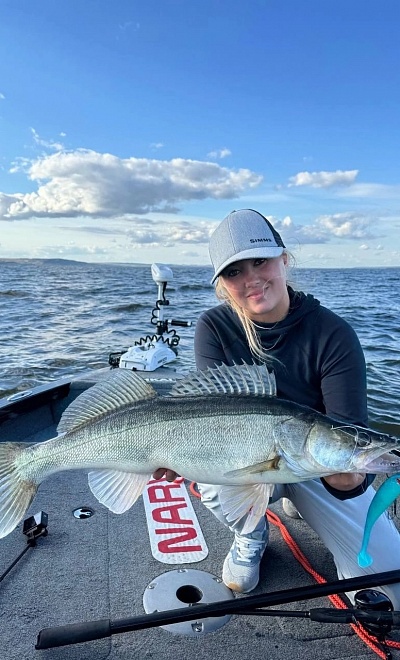 Дичка Вероника