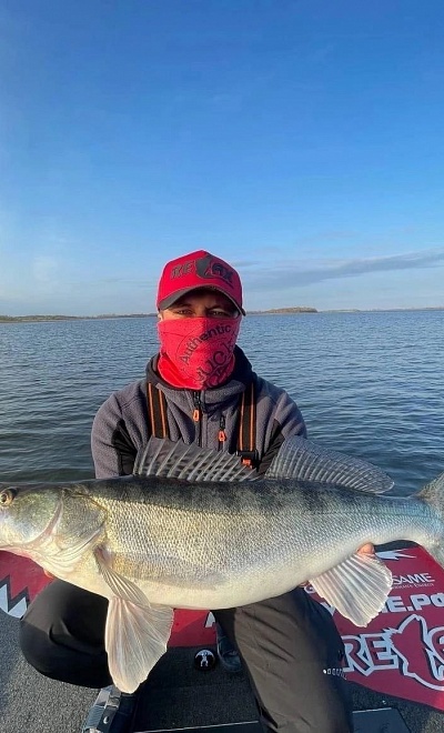 Быченков Максим